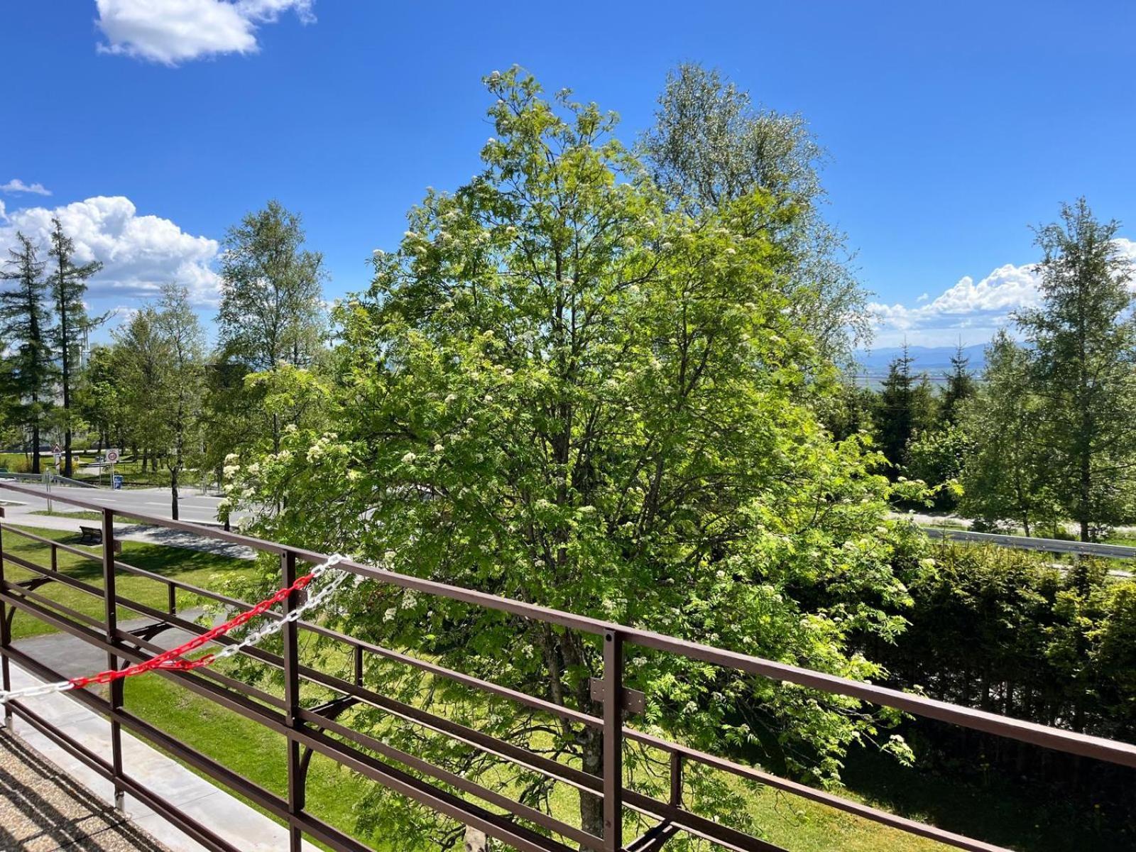 Penzion Villa Gerlach Vysoké Tatry Kültér fotó